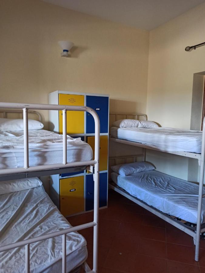 Albergue De Sos del Rey Católico Exteriör bild